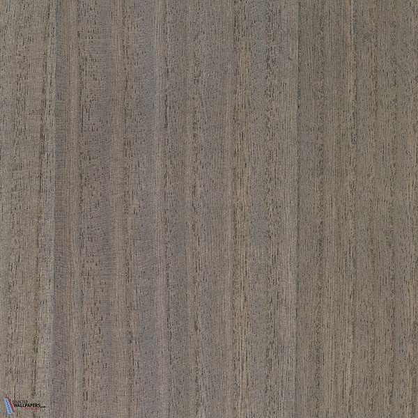 Paulownia-behang-Tapete-Greenland-Charcoal Gray-Meter (M1)-G0165NV1034-Selected Wallpapers