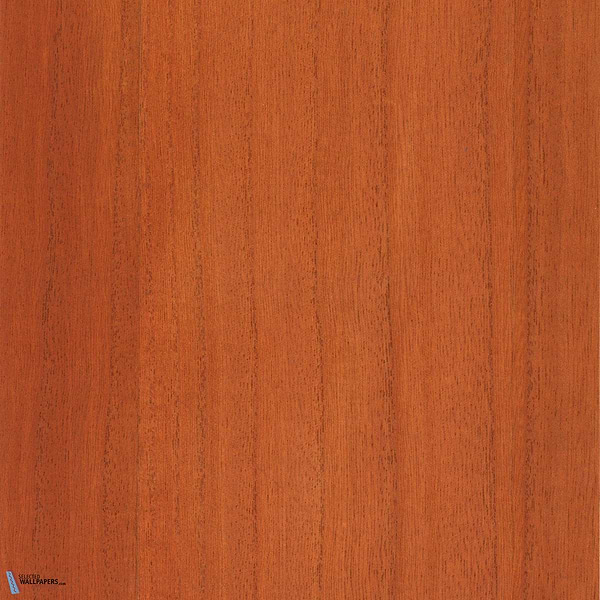 Paulownia-behang-Tapete-Greenland-Raw Sienna-Meter (M1)-G0165NV1040-Selected Wallpapers