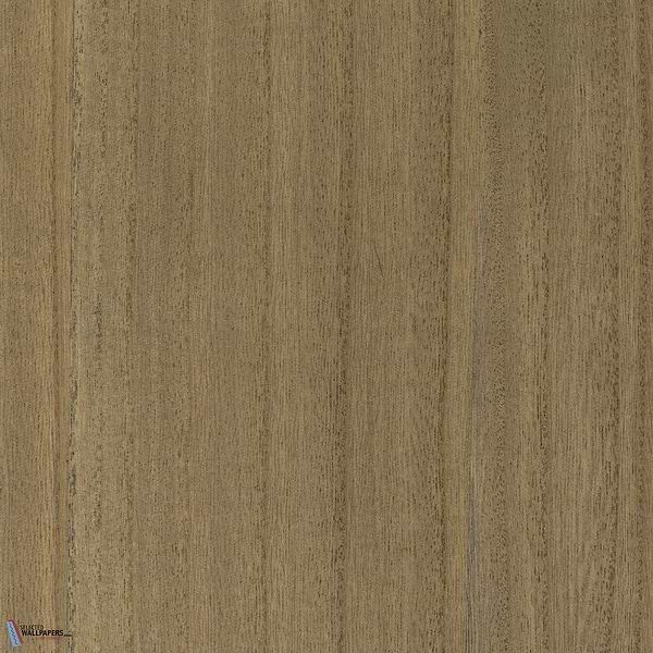 Paulownia-behang-Tapete-Greenland-Brown Suger-Meter (M1)-G0165NV1043-Selected Wallpapers