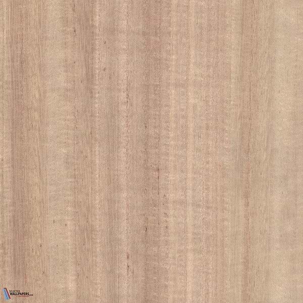 Paulownia-behang-Tapete-Greenland-Primary Colour-Meter (M1)-N158NV1014-Selected Wallpapers