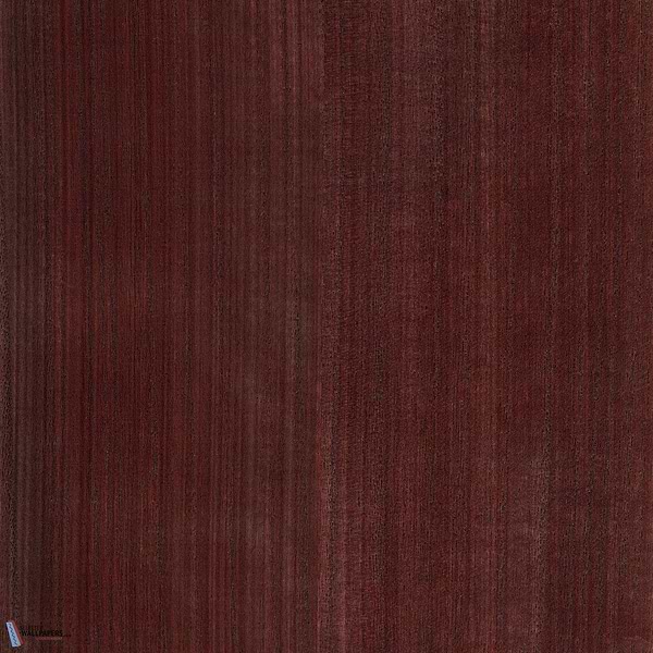 Paulownia-behang-Tapete-Greenland-Whitered Rose-Meter (M1)-N158NV1019-Selected Wallpapers