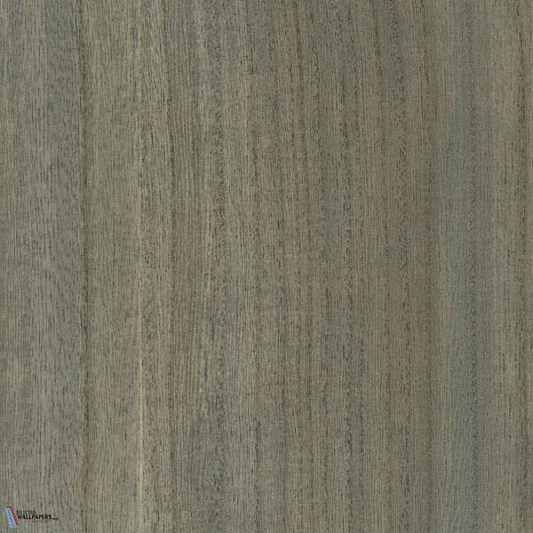 Paulownia-behang-Tapete-Greenland-Forget Me Not-Meter (M1)-N158NV1035-Selected Wallpapers