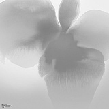 Petal Glow behang-behang-LondonArt-2-RAW-S120-M2-Selected Wallpapers & Interiors