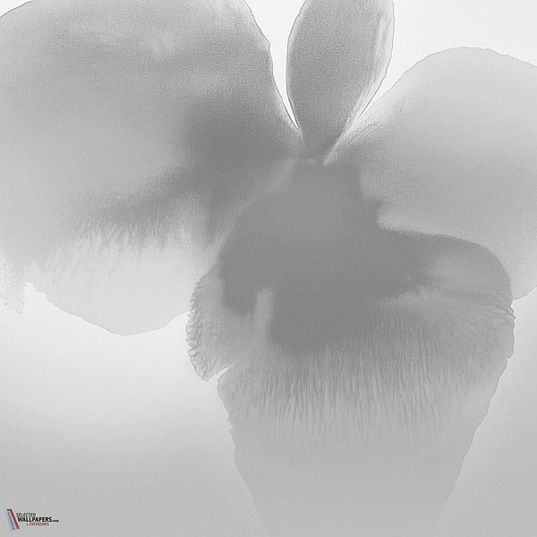 Petal Glow behang-behang-LondonArt-2-RAW-S120-M2-Selected Wallpapers & Interiors