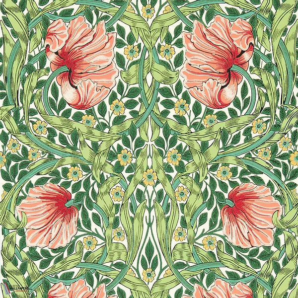 Pimpernel-behang-tapete-wallpaper-Morris & Co-Shamrock/Watermelon-Rol-Selected-Wallpapers-Interiors