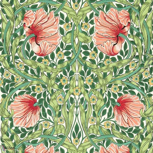 Pimpernel-wallpaper-Morris & Co-Shamrock/Watermelon-Roll-Selected-Wallpapers-Interiors