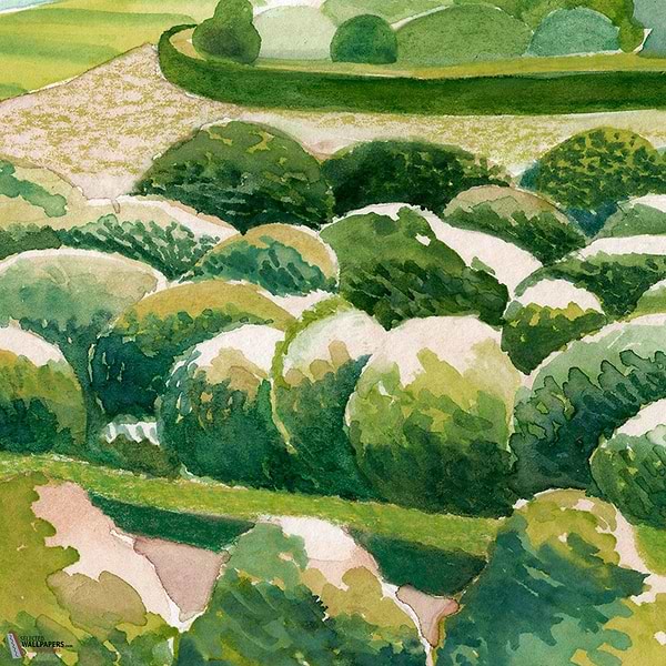 Promenade des buis behang-Les Dominotiers-Selected Wallpapers-Interiors