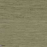 Pure Silk-Arte-wallpaper-behang-Tapete-wallpaper-Grasshopper-Meter (M1)-Selected Wallpapers