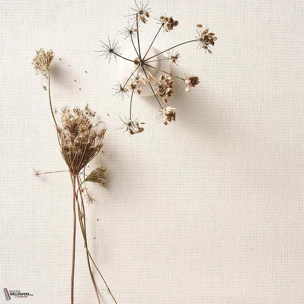 Purity behang-Omexco by Arte-Selected Wallpapers-Interiors