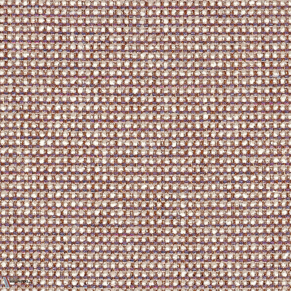 46980566