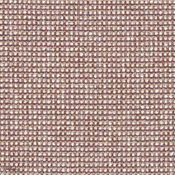 46980566
