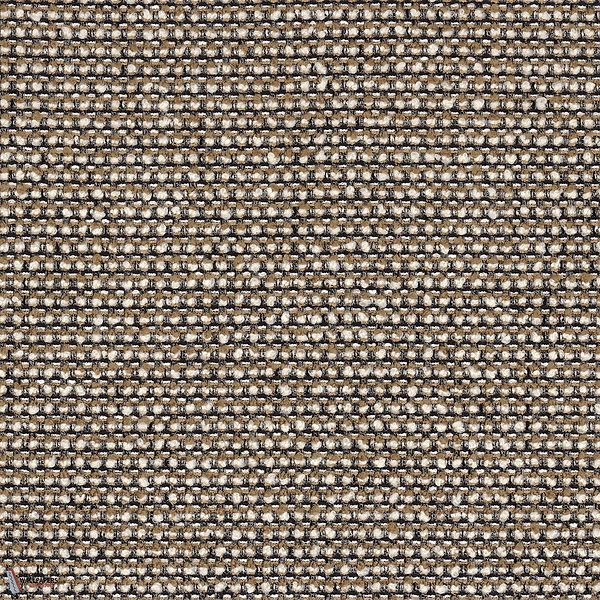 46980348