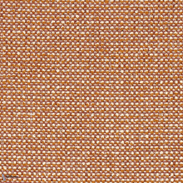 46980453
