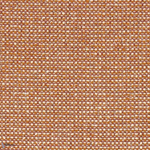 46980453