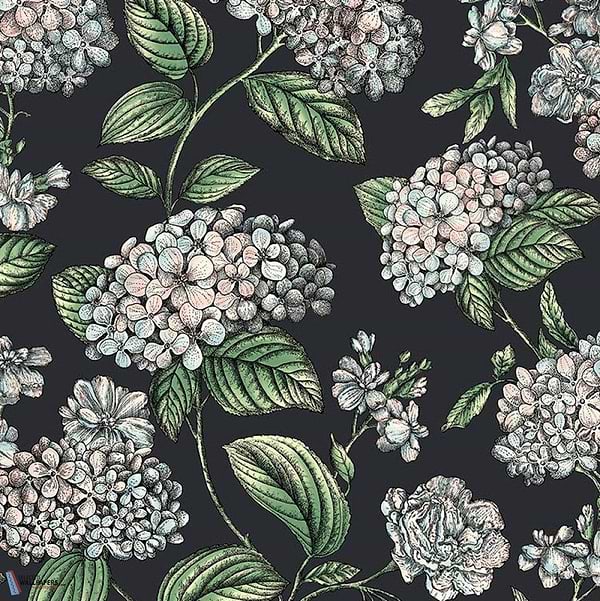 Ramo di Ortensia-wallpaper-Cole & Son-Pastel on Charcoal-Roll-123/8038-Selected Wallpapers