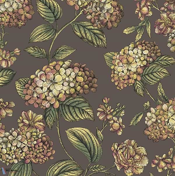 Ramo di Ortensia-behang-Tapete-Cole & Son-Autumnal-Rol-123/8041-Selected Wallpapers
