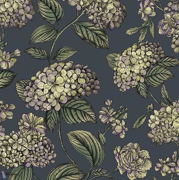 Ramo di Ortensia-wallpaper-Cole & Son-Lime & Purple on Ink-Roll-123/8042-Selected Wallpapers
