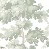 Raphael wallpaper-Sandberg-Light Green-Roll-Selected Wallpapers-Interiors