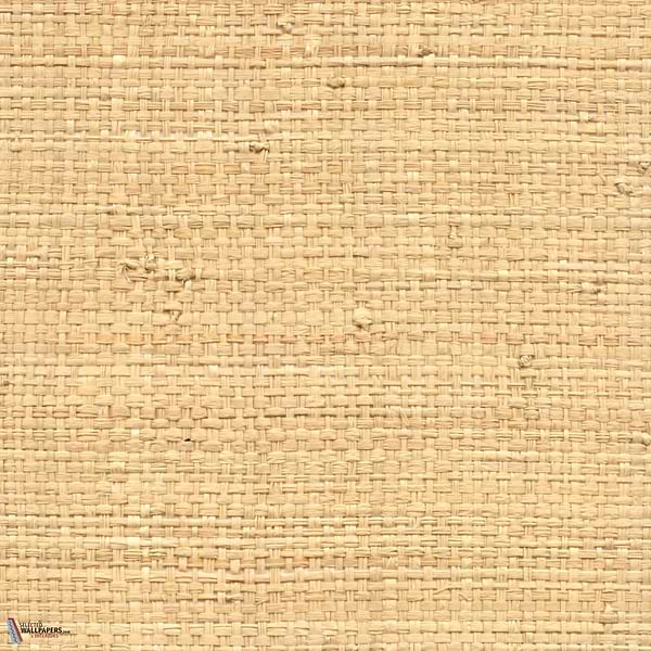 Raphia behang-CMO Paris-Sauvage Miel-Meter (M1)-Selected Wallpapers-Interiors