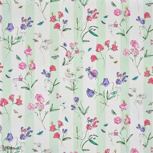 Rayure les pois de senteur behang-Pierre Frey-wallpaper-tapete-Creme-Meter (M1)-Selected-Wallpapers-Interiors