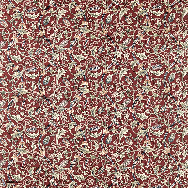 Scrolling Tulip roomshot