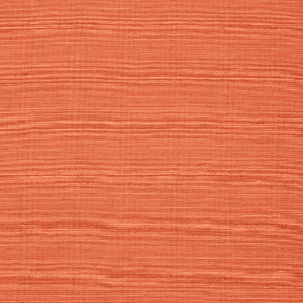 Shang Extra Fine Sisal-Thibaut-Apricot-Rol-Selected-Wallpapers-Interiors