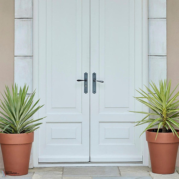 Shirting verf Little Greene 129-Selected-Wallpapers-Interiors