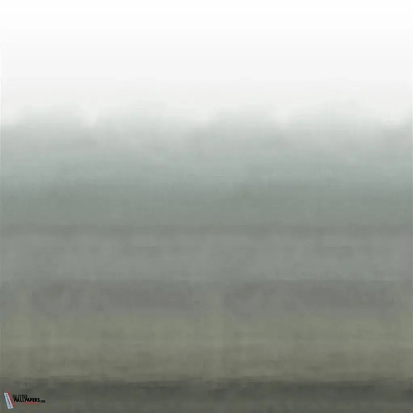 Shoshi-behang-Tapete-Designers Guild-Graphite-Set-PDG1163/04-Selected Wallpapers