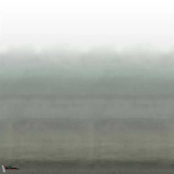 Shoshi-behang-Tapete-Designers Guild-Graphite-Set-PDG1163/04-Selected Wallpapers