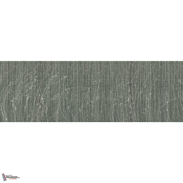 SIDERITIS GLXV441 Combined Design