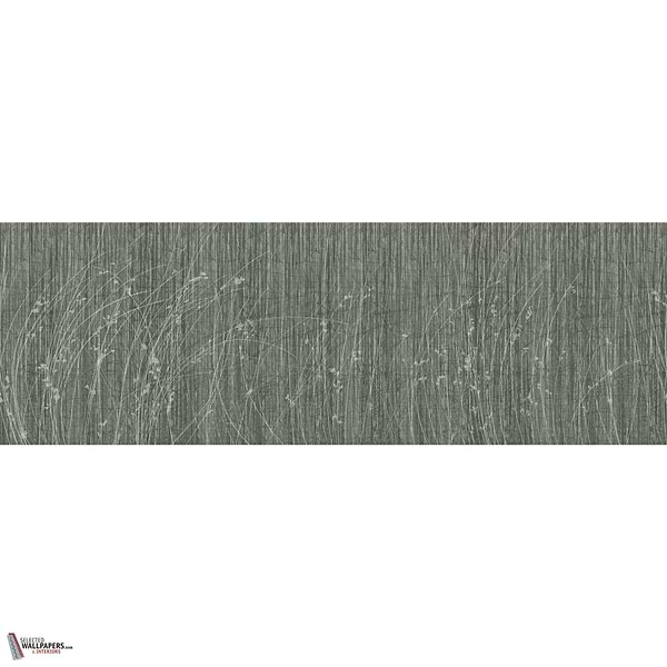 SIDERITIS GLXV441 Combined Design