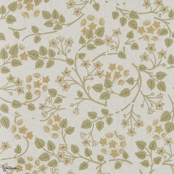 Silver lime behang-Sanderson-Lichen-Rol-Selected Wallpapers-Interiors