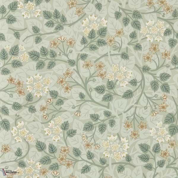 Silver lime behang-Sanderson-Nymph-Rol-Selected Wallpapers-Interiors