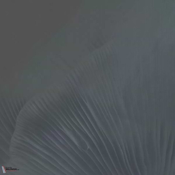 Siren Song behang-Tecnografica-Blue A-Fabric Vinyl-M2-Selected Wallpapers-Interiors