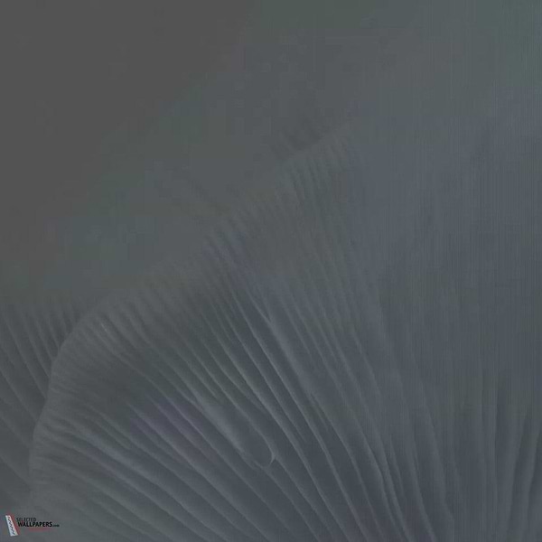 Siren Song behang-Tecnografica-Blue A-Fabric Vinyl-M2-Selected Wallpapers-Interiors