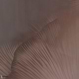 Siren Song behang-Tecnografica-Coral A-Fabric Vinyl-M2-Selected Wallpapers-Interiors