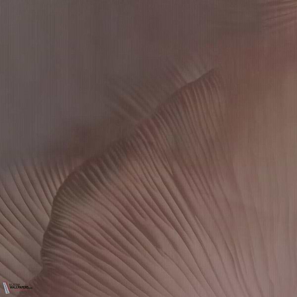 Siren Song behang-Tecnografica-Coral A-Fabric Vinyl-M2-Selected Wallpapers-Interiors