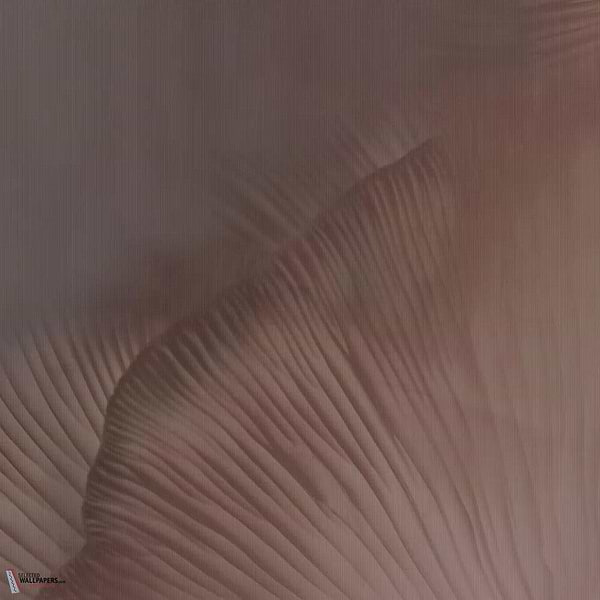 Siren Song behang-Tecnografica-Coral A-Fabric Vinyl-M2-Selected Wallpapers-Interiors