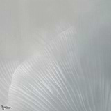 Siren Song behang-Tecnografica-Light blue A-Fabric Vinyl-M2-Selected Wallpapers-Interiors