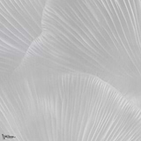 Siren Song behang-Tecnografica-Pearl B-Fabric Vinyl-M2-Selected Wallpapers-Interiors