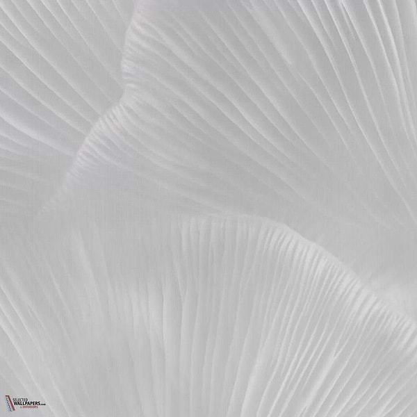 Siren Song behang-Tecnografica-Pearl B-Fabric Vinyl-M2-Selected Wallpapers-Interiors