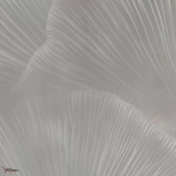 Siren Song behang-Tecnografica-Taupe B-Fabric Vinyl-M2-Selected Wallpapers-Interiors