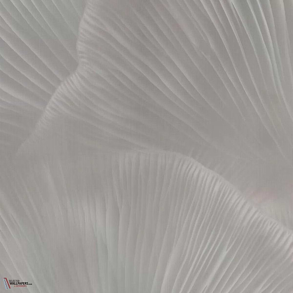 Siren Song behang-Tecnografica-Taupe B-Fabric Vinyl-M2-Selected Wallpapers-Interiors