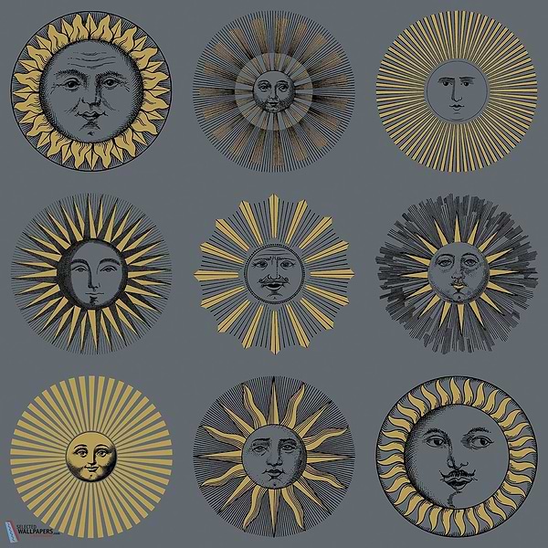 Soli-behang-Tapete-Cole & Son-Midnight & Soft Gold-Rol-123/1004-Selected Wallpapers