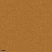 Stardust-Behang-Tapete-Texam-Tangerine Bliss-Meter (M1)-MS66-Selected Wallpapers