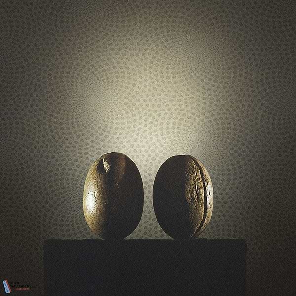 Sunflower-Behang-Tapete-Texam-Selected Wallpapers