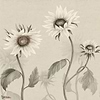 Sunflowers wallpaper-Sandberg-White-Mattic-M2-Selected Wallpapers-Interiors