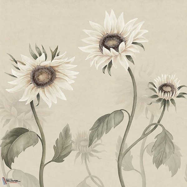 Sunflowers wallpaper-Sandberg-White-Mattic-M2-Selected Wallpapers-Interiors