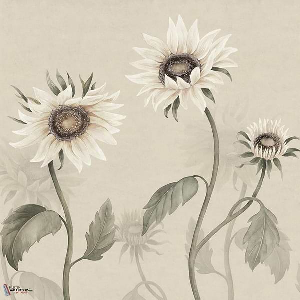 Sunflowers wallpaper-Sandberg-White-Mattic-M2-Selected Wallpapers-Interiors
