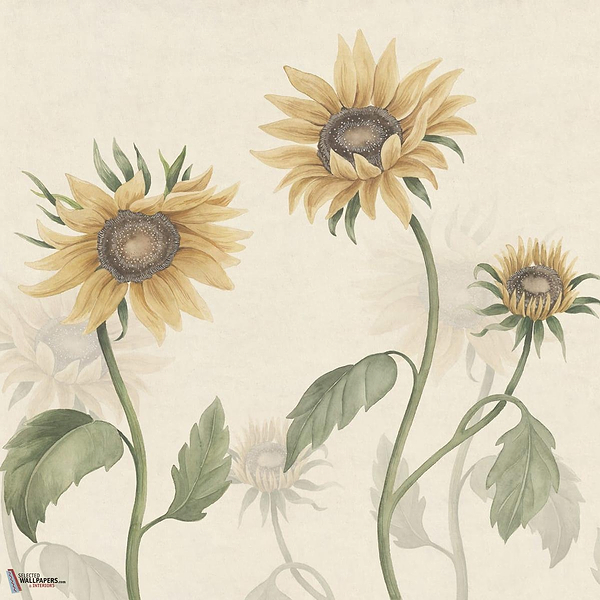 Sunflowers wallpaper-Sandberg-Yellow-Mattic-M2-Selected Wallpapers-Interiors